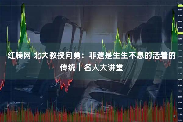 红腾网 北大教授向勇：非遗是生生不息的活着的传统｜名人大讲堂