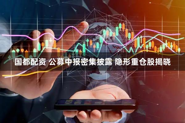 国都配资 公募中报密集披露 隐形重仓股揭晓